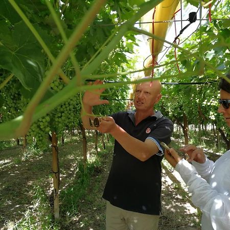 Masseria Marico กาสเตลลาเนตา ภายนอก รูปภาพ