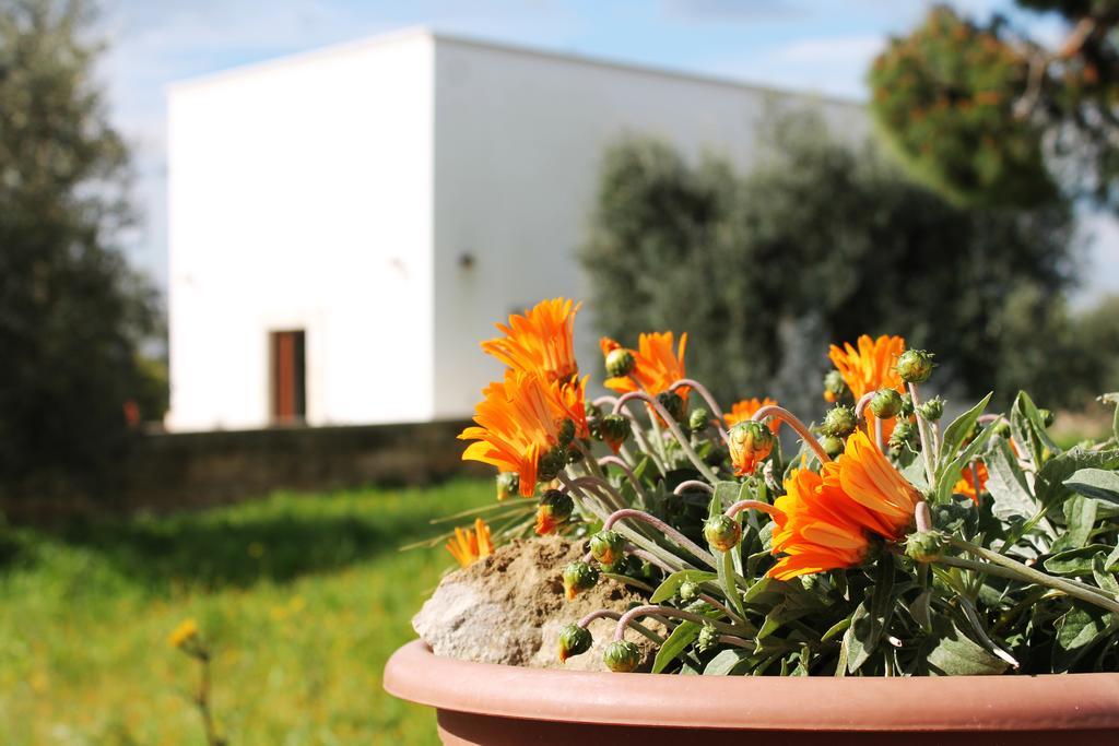 Masseria Marico กาสเตลลาเนตา ห้อง รูปภาพ