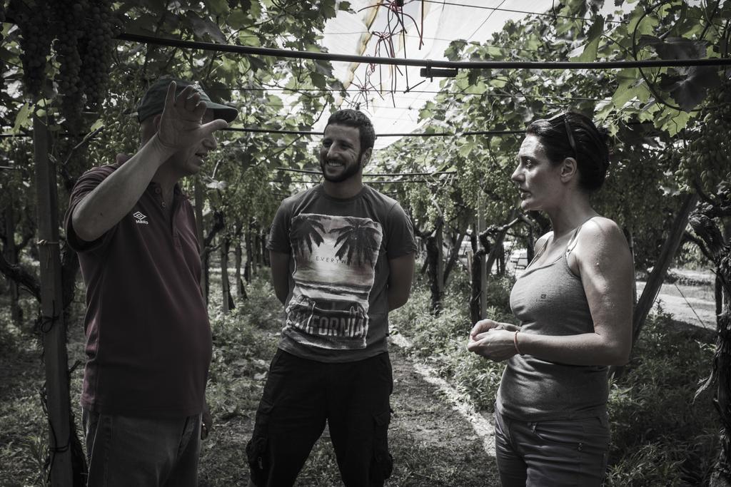 Masseria Marico กาสเตลลาเนตา ภายนอก รูปภาพ