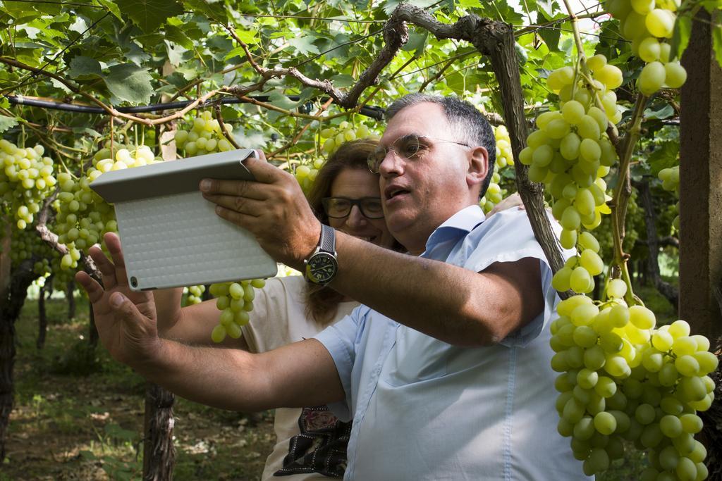 Masseria Marico กาสเตลลาเนตา ภายนอก รูปภาพ