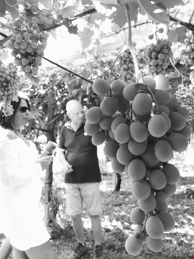 Masseria Marico กาสเตลลาเนตา ภายนอก รูปภาพ