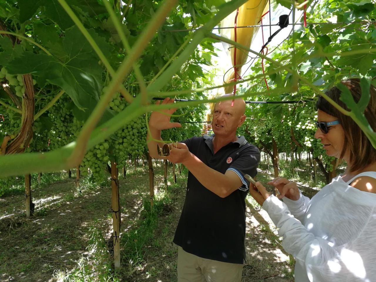 Masseria Marico กาสเตลลาเนตา ภายนอก รูปภาพ